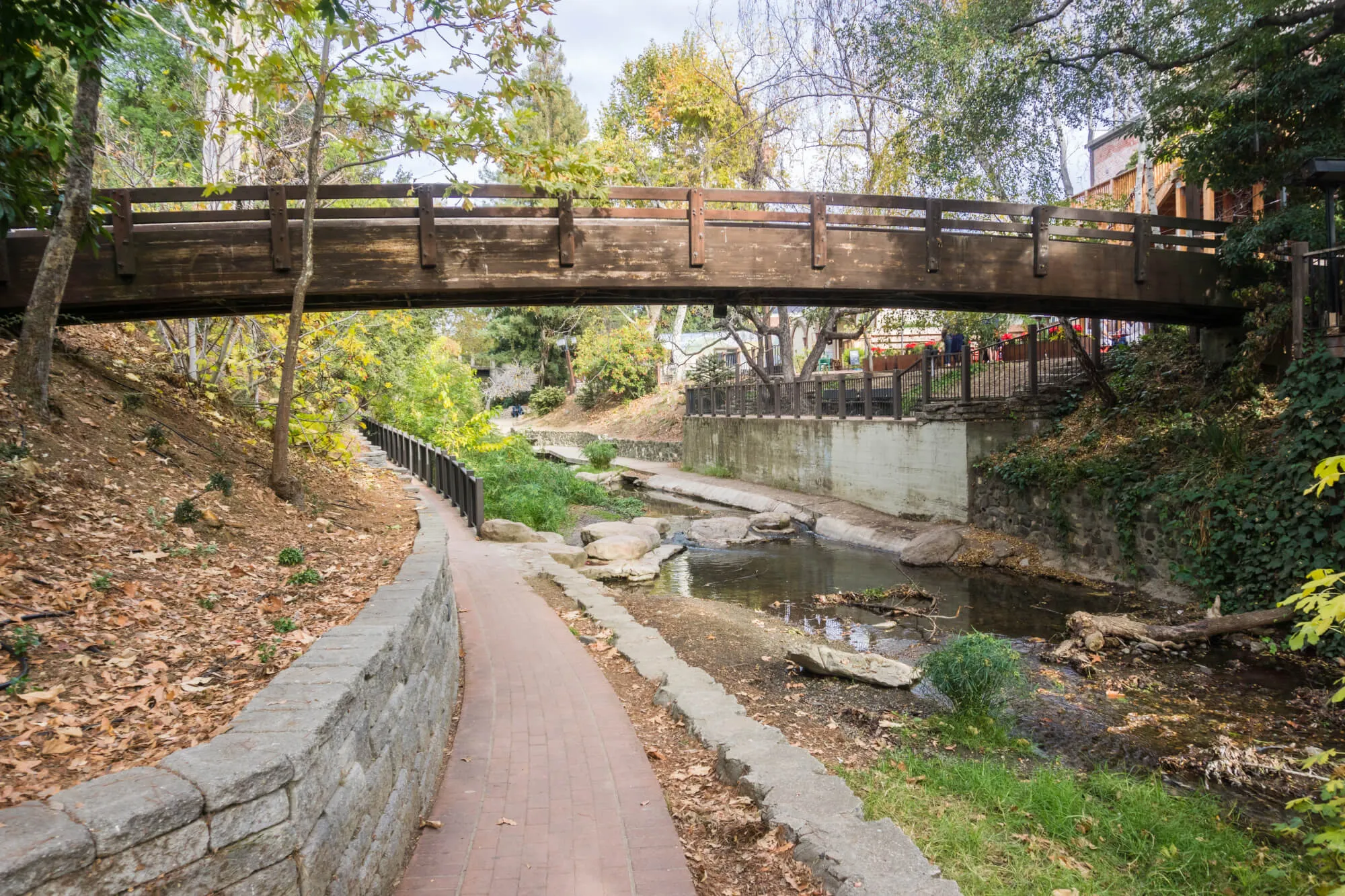 Bridge in downtown